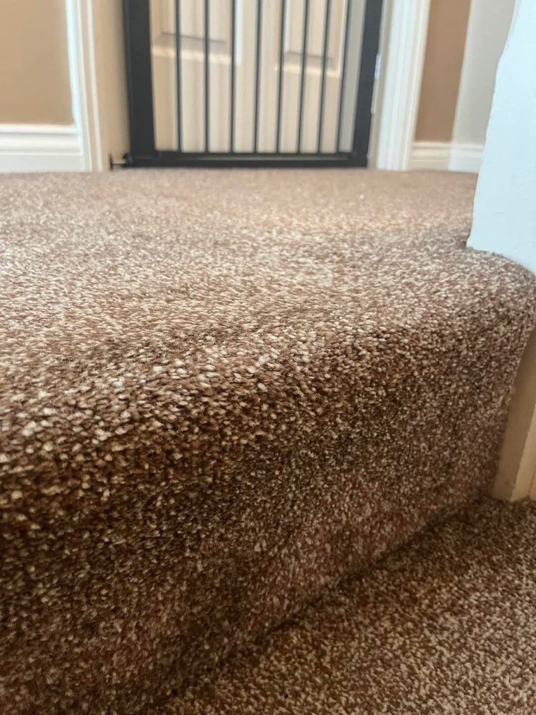 Low-angle view of beige carpet with safety gate in doorway of home interior